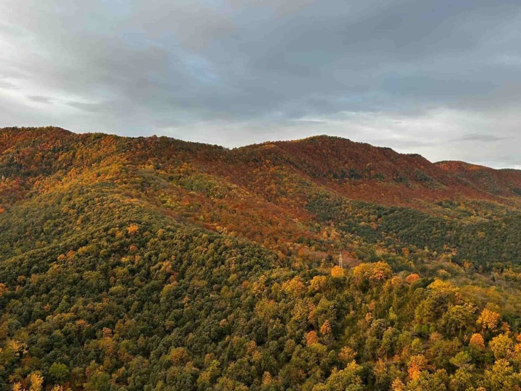 Què fer a la tardor a Catalunya